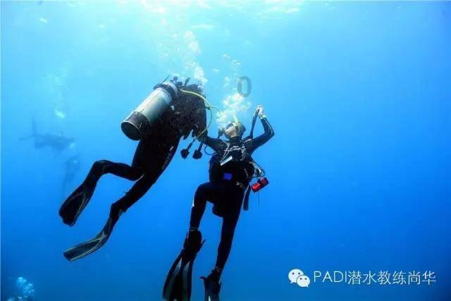 探索冷知识，尽在48岁王艳下地干农活，全副武装化浓妆惹争议，是在做秀吗？平台